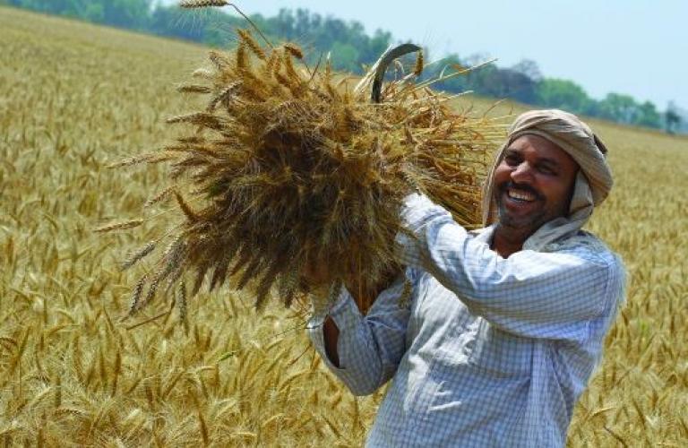Farmer From Haryana