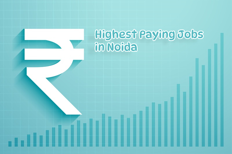 High Salary Jobs in Noida